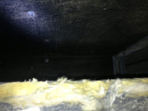 Worn insulation