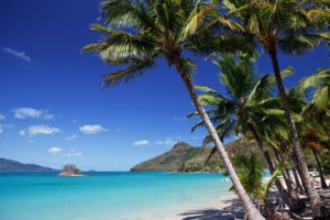 Hamilton Island beach